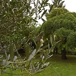 Affittacamere Durando Mondovì
