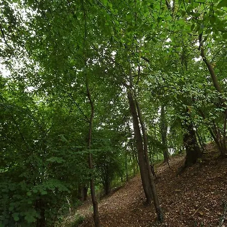 Durando Penzion Mondovì